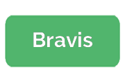Ремонт сигвеев Bravis