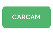 Ремонт сигвеев CARCAM