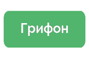 Ремонт экшен-камер Грифон
