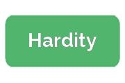 Ремонт бесперебойников Hardity