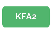 Ремонт видеокарт KFA2